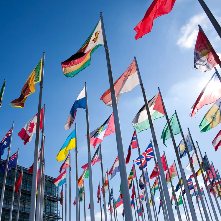 Miniatura come trovare un master con sbocchi internazionali